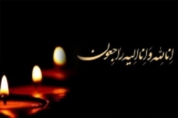 پیام تسلیت رئیس شورای شهر تهران به مناسبت درگذشت آیت‌الله شاهرودی