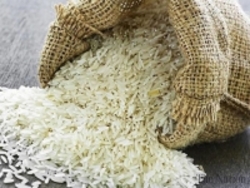 مصری: قوه قضاییه موضوع از بین رفتن ۲۰ هزار تن برنج را پیگیری کند