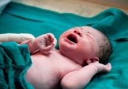 تولد یک میلیون و ۲۰۱ هزار نوزاد  فوت حدود ۳۰۰ هزار نفر در کشور