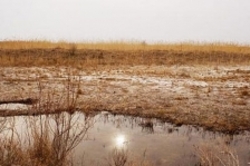 آبگیری ٦هزار هکتار از تالاب بندعلیخان در زمستان امسال