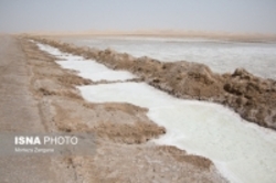 دانیالی: وضعیت گاوخونی وخیم است/ از پول واجب‌تر، حق‌آبه محیط زیست را می‌خواهیم