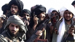 ناگفته‌هایی از محل زندگی، دلایل و تاریخ دقیق مرگ ملاعمر رهبر طالبان  عکس