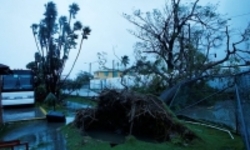 افزایش تلفات طوفان  آیدای  به بیش از ۱۲۰ تن