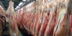 تشریح جزئیات تنظیم بازار گوشت قرمز گام اول رساندن گوشت به جامعه هدف