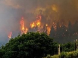 تخلیه اضطراری هزاران خانه در پی آتش‌سوزی‌های گسترده آمریکا