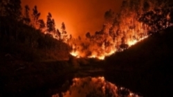 گسترش آتش‌سوزی‌های جنگلی در آمریکا