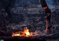 مهار آتش سوزی در منطقه جنگلی -تفریحی نهرودبار مازندران