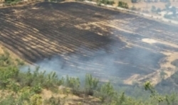 آتش گرفتن 7 هکتار از اراضی کشاورزی و باغی در بهشهر