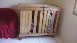 نجات دوقلوهای برزیلی از قفس چوبی