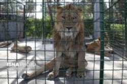 عضویت موقت باغ‌ وحش تهران دراتحادیه باغ‌ وحش‌های اروپا