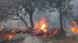 مهار آتش در منطقه جنگلی کجور مازندران