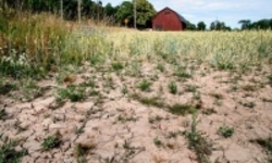 گسترش خشکسالی و کم‌آبی در سراسر اروپای مرکزی و شمالی