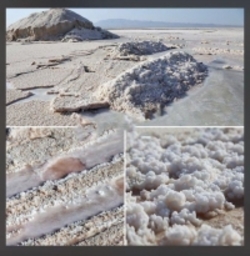 خشکی دریاچه نمک؛ بحران زیست محیطی بزرگ/"گلخانه گسترده بیابانی" طرح درمان دریاچه نمک