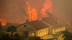 تخریب ۵۰۰ خانه بر اثر آتش‌سوزی در کالیفرنیا