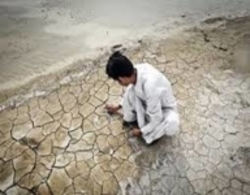 تقویت برنامه دیپلماسی آب و احیای تالاب هامون در دست پیگیری است