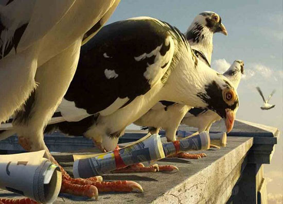 با کفتربازان تاریخ آشنا شوید با کفتربازان تاریخ آشنا شوید