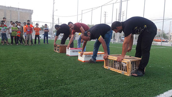 با کفتربازان تاریخ آشنا شوید با کفتربازان تاریخ آشنا شوید