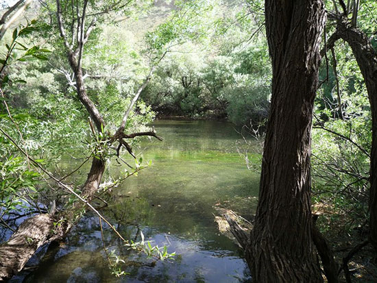 رویایی‌ترین دریاچه‌های ایران؛ از اوان الموت تا گهرلرستان