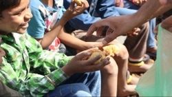 افزایش گرسنگی و سوء تغذیه در سراسر جهان