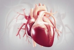 شیوه مدرن بازکردن رگ‌های قلب در مراکز درمانی کشور