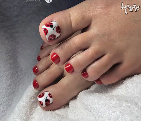 مدلهای جذاب پدیکور ناخن برای خوشسلیقهها مدلهای جذاب پدیکور ناخن برای خوشسلیقهها
