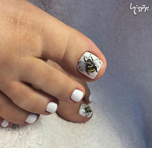 مدلهای جذاب پدیکور ناخن برای خوشسلیقهها مدلهای جذاب پدیکور ناخن برای خوشسلیقهها