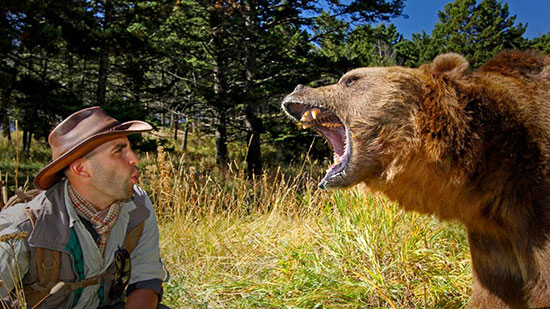 مواجهه با حیوانات وحشی بدون اینکه به شما و حیوانات آسیبی برسد