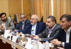 تاکید ظریف بر حفظ حقوق ایرانیان مقیم خارج از کشور در کمیسیون امنیت ملی
