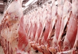 ثبات قیمت گوشت در بازار/ نرخ هر کیلو شقه گوسفندی 59 هزار تومان
