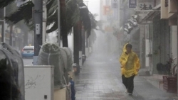 افزایش مصدومان طوفان  ترامی  در ژاپن