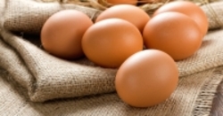 تخم مرغ رسمی در بازار چند؟
