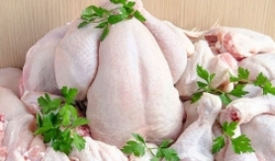 نرخ جدید مرغ و انواع مشتقات در بازار/قیمت مرغ به ۱۰ هزار و ۳۰۰ تومان رسید