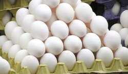 نرخ منطقی هر عدد تخم مرغ حداکثر ۷۰۰ تومان