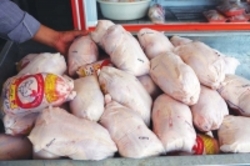 آخرین تحولات بازار مرغ  قیمت مرغ به ۱۶ هزار و ۳۰۰ تومان رسید