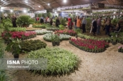 نمایشگاه بین المللی گل و گیاه از 8 اردیبهشت در تهران برگزار می‌شود
