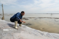 آب در معابر شهر آق‌قلا در حال فروکش است
