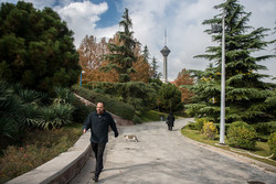رکوردزنی تنفس هوای پاک و سالم در تهران