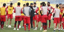 پرسپولیس فردا مقابل نفت مسجدسلیمان به میدان می‌رود