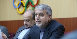 صالحی امیری: منابع مالی به فدراسیون‌های المپیکی تزریق شد