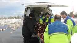 مصدومیت ۲۷ نفر هنگام فرار از زلزله در اردبیل