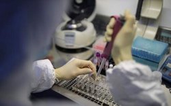 انجام ۱۲۰ مورد آزمایش از ابتدای راه اندازی آزمایشگاه کروناویروس در کردستان