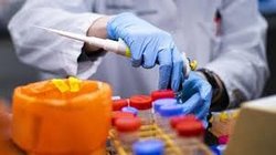 شناسایی درمانی بالقوه برای کروناویروسِ جدید