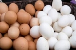 کاهش قیمت تخم مرغ در بازار  خبری از صادرات تخم مرغ نیست