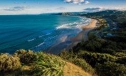 گرم شدن اقیانوس‌ها عامل افزایش تعداد گونه‌های گرمسیری در  نیوزیلند