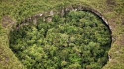 تخریب ۱۲ میلیون هکتار از جنگل‌های استوایی جهان در سال ۲۰۱۸