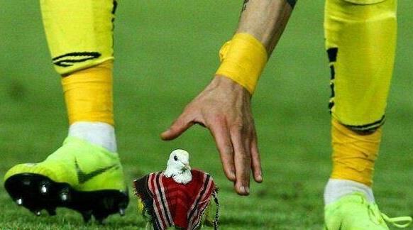 توهین نابخشودنی و زشت علیه پرسپولیسی ها + عکس