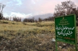 ‌جنگل‌های انبوه غرب ایران هم در حال بیابان شدن هستند