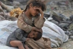 موسسه آمریکایی میزان تلفات جنگ یمن را اعلام کرد