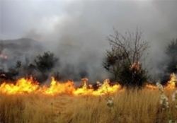 گرفتار شدن نیروهای منابع طبیعی در ارتفاعات باشت  نیاز شدید به بالگرد برای مهار آتش