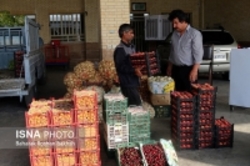 10 میدان میوه و تره بار تهران سرسبز می‌شوند